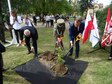 Wieluń: Posadzono dąb pamięci i odsłonięto tablicę poświęconą kapitanowi Stanisławowi Mikulskiemu – komisarzowi Straży Granicznej