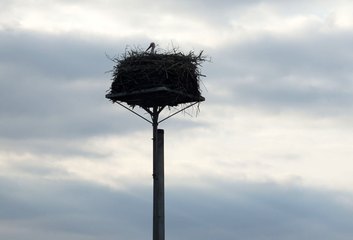 Strojec: pięknieje świetlica, pięknieją tereny zielone, będą wyremontowane ulice