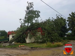 Straty po piątkowej burzy – wieluńska straż podsumowała weekend