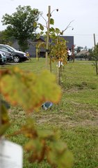 Sołeckie Centrum Rekreacji i Sportu w Strojcu pięknieje z dnia na dzień