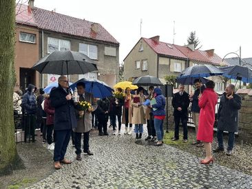 Wieluń włączył się w akcję Żonkile. Zadbało o to II LO i działająca tam grupa Szlakiem Wieluńskich Żydów