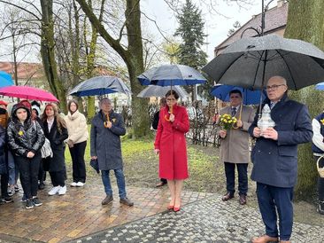 Wieluń włączył się w akcję Żonkile. Zadbało o to II LO i działająca tam grupa Szlakiem Wieluńskich Żydów