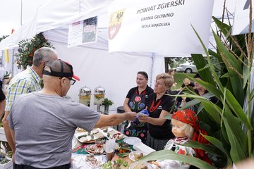 Dożynki Województwa Łódzkiego w Radomsku