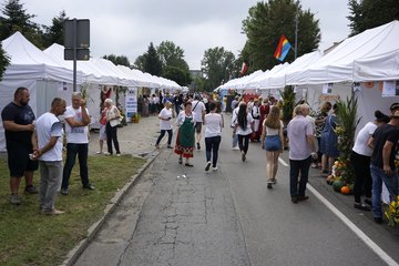 Dożynki Województwa Łódzkiego w Radomsku