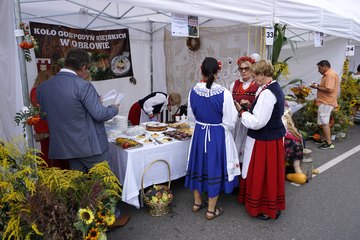 Dożynki Województwa Łódzkiego w Radomsku