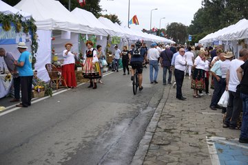 Dożynki Województwa Łódzkiego w Radomsku