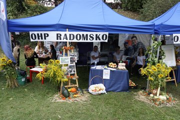 Dożynki Województwa Łódzkiego w Radomsku