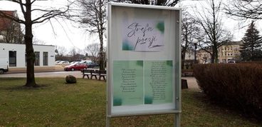 Dziś Światowy Dzień Poezji. Happening w wieluńskiej bibliotece