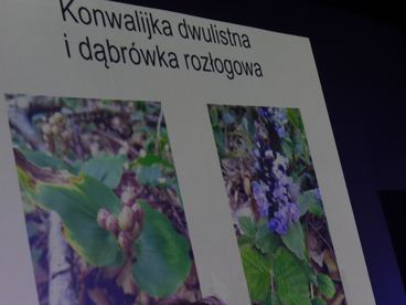 W Pajęcznie odbyła się sesja popularnonaukowa Towarzystwa Przyjaciół Pajęczna. Jej efektem będzie kolejna publikacja