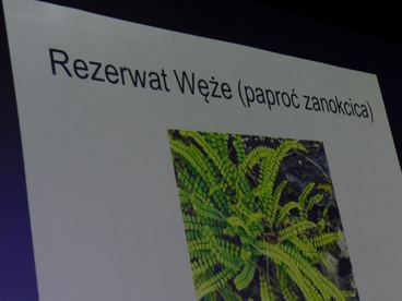 W Pajęcznie odbyła się sesja popularnonaukowa Towarzystwa Przyjaciół Pajęczna. Jej efektem będzie kolejna publikacja