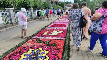 Jak co roku w Spycimierzu powstawały kwietne dywany na Boże Ciało