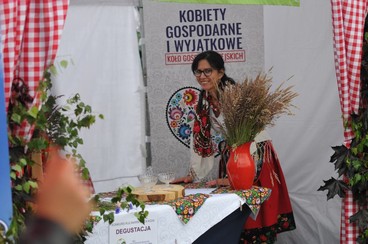 Łódzki Festiwal Mleka w Wieluniu za nami. Z atrakcji skorzystały setki mieszkańców regionu