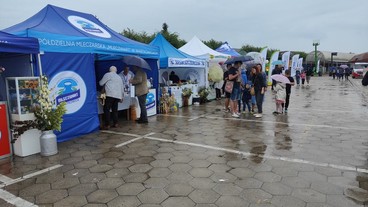 Łódzki Festiwal Mleka w Wieluniu za nami. Z atrakcji skorzystały setki mieszkańców regionu