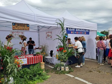 Łódzki Festiwal Mleka w Wieluniu za nami. Z atrakcji skorzystały setki mieszkańców regionu