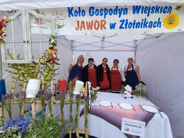 Łódzki Festiwal Mleka w Wieluniu za nami. Z atrakcji skorzystały setki mieszkańców regionu