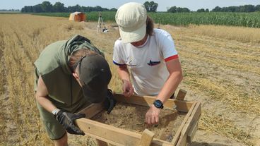 Kolejny sezon prac archeologicznych w Dąbrowie rozpoczęty