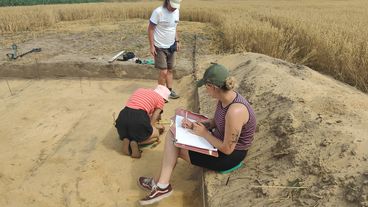 Kolejny sezon prac archeologicznych w Dąbrowie rozpoczęty