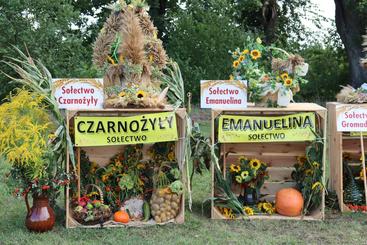 Dożynki gminy Czarnożyły w tym roku obchodzono w Czarnożyłach