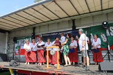 Zebrano ponad 40,5 tys. zł! W Skomlinie odbył się piknik rodzinny, z którego dochód trafi do Franka Strózika