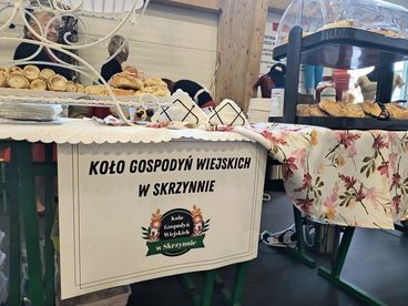 Druga edycja Wieluńskiego Festiwalu Aktywności Społecznej