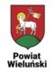 Powiat Wieluński